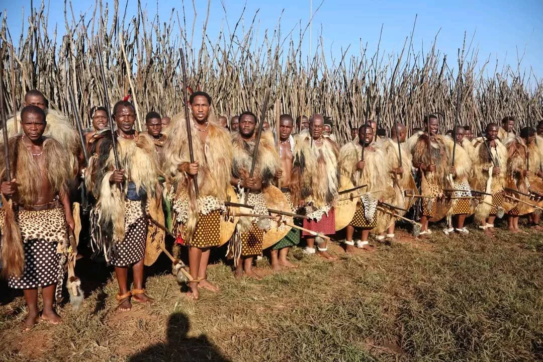 Incwala Cultural Programme